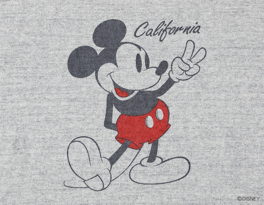 DISNEY × Standard California 88/12 California T delivery